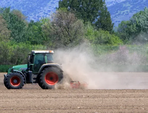 Αγροτικές επιδοτήσεις: Το μεταβατικό σύστημα πληρωμών και ελέγχων για το 2025 -Τι αλλάζει το 2026